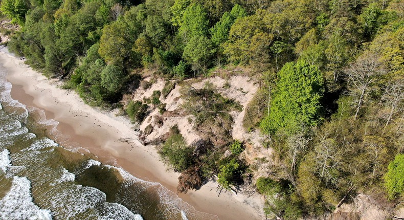 Träd har rasat söder om Knäbäckshusen och ligger fallna ner mot strandkanten. Ovanför och runt om det rasade området syns stående, grönskande träd. Nedanför dem en strandremsa där vågorna spolar in emot land. 